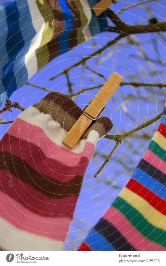 Sockenbaum Strümpfe Wäsche aufhängen Wäscheleine Frühling Waschtag Frühjahrsputz Streifen gestreift Bekleidung Wäschetag Wäscheklammen festhalten Wäsche waschen