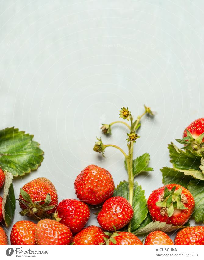Reife Erdbeeren mit grünen Blättern und Blüten Lebensmittel Frucht Dessert Ernährung Frühstück Bioprodukte Vegetarische Ernährung Saft Stil Gesunde Ernährung