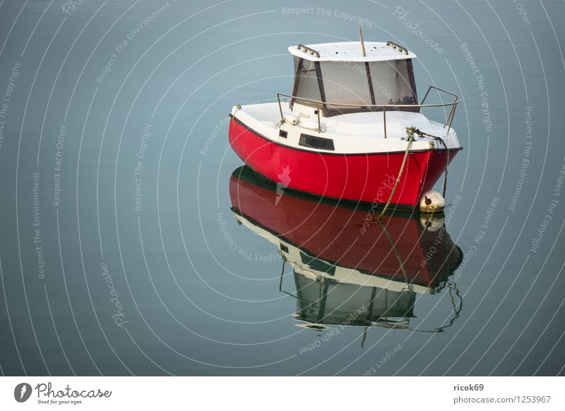 Boot in der Bretagne Erholung Ferien & Urlaub & Reisen Natur Landschaft Küste Motorboot Wasserfahrzeug rot Atlantik Ploumanac’h Frankreich Perros-Guirec