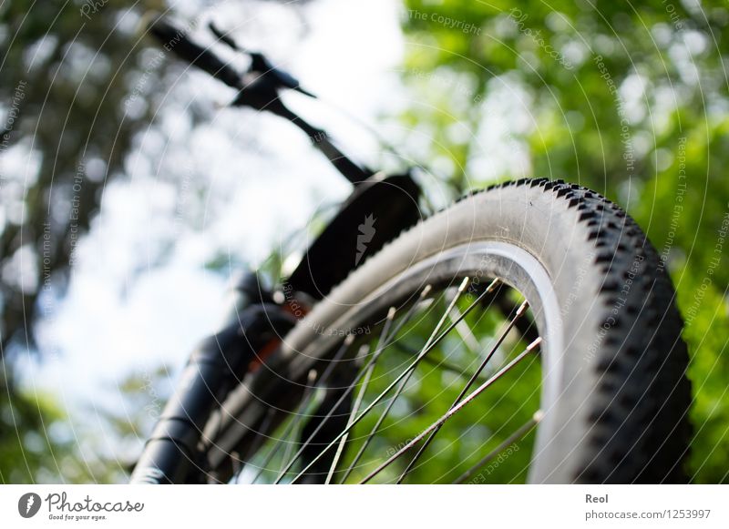 Überrollt Freizeit & Hobby Sport Fahrradfahren Mountainbike Fahrradtour Fahrradreifen Fahrradweg Natur Wald Fußweg grün Außenaufnahme Froschperspektive Fitness