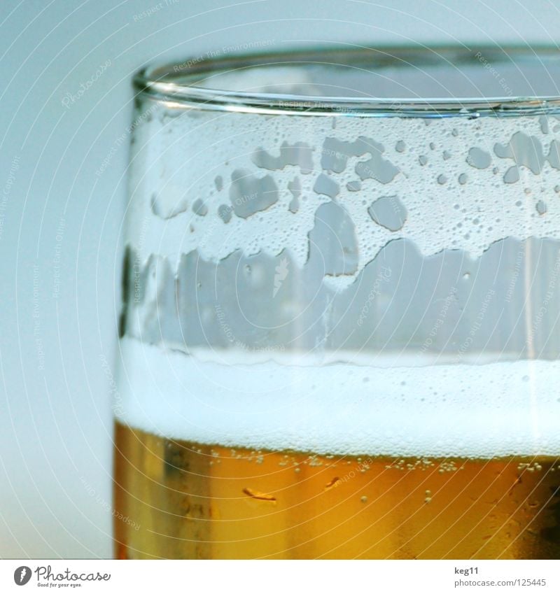 Prost! Ein Bier zum Samstagabend! Bierglas Schaum trinken Alkohol Glas Bierschaum Anschnitt Bildausschnitt Detailaufnahme Nahaufnahme Durstlöscher