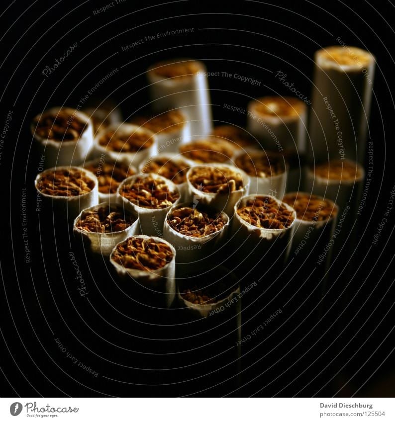 Im Schatten der Sucht Teer Lunge Rauchen Tabak Zigarette Paket rund Abhängigkeit Rauschmittel schädlich Nikotin Kohlenmonoxid dunkel schwarz gelb letzte Papier