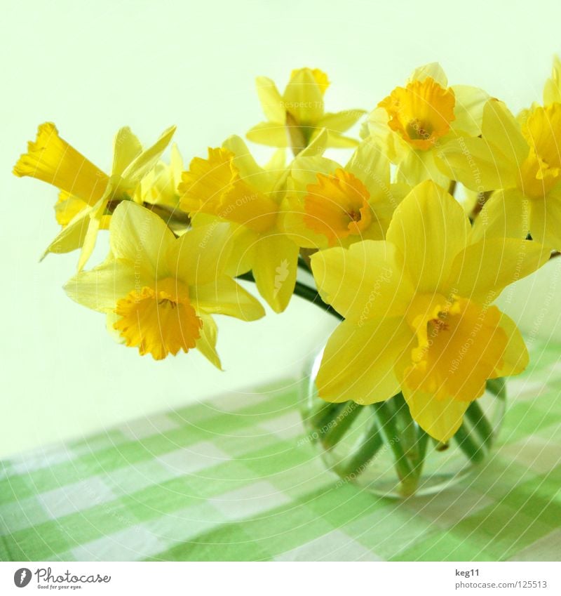Frühlingsnarzissen Narzissen Blume Vase Tisch Blumenstrauß Gänseblümchen Gelbe Narzisse Glocke Hyazinthe Tulpe Osterei Feste & Feiern Stengel Kugelvase Decke
