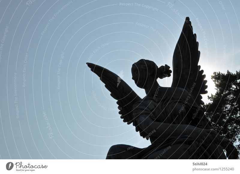Engel elegant schön feminin Junge Frau Jugendliche 1 Mensch 18-30 Jahre Erwachsene Kunst Skulptur Wolkenloser Himmel Stein fliegen ästhetisch blau schwarz