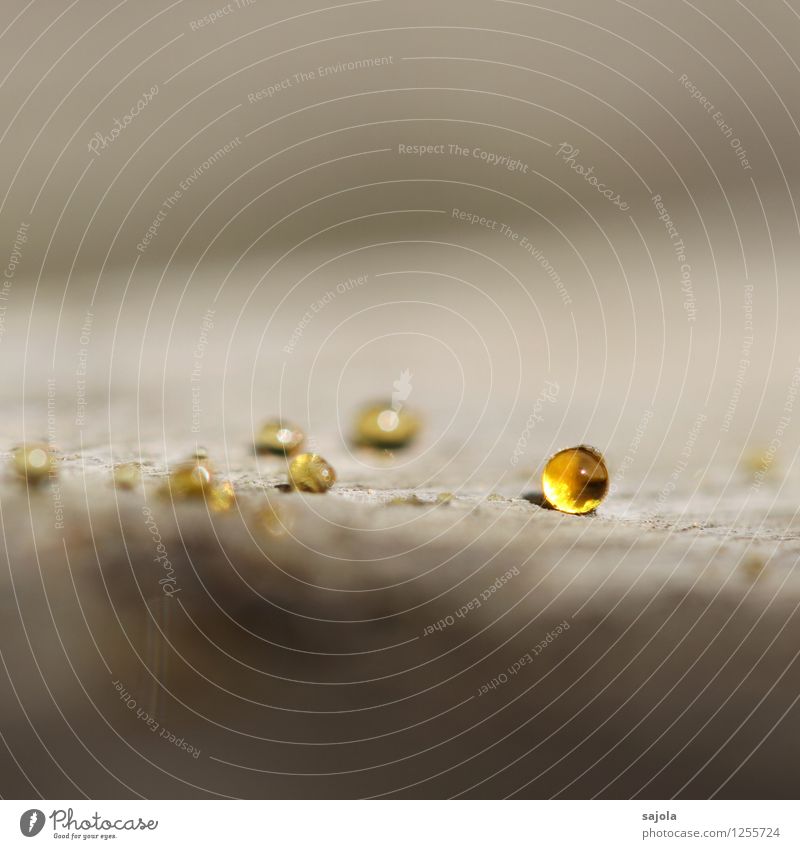 goldene perle im fokus Natur Holz liegen ästhetisch glänzend klein natürlich rund braun gelb Baumharz Tropfen Kugel kugelrund bernsteinfarben Farbfoto