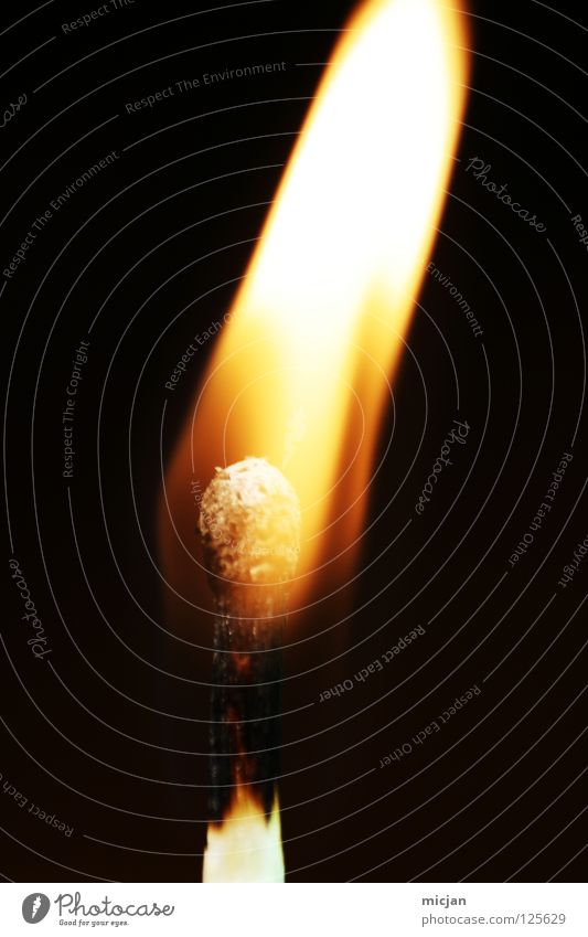Antiwasser Streichholz Holz brennen heiß gefährlich Brennstoff anzünden Kerze Wunder Zigarre Licht Stock Brand Zauberei u. Magie Brandstiftung Waldbrand schwarz