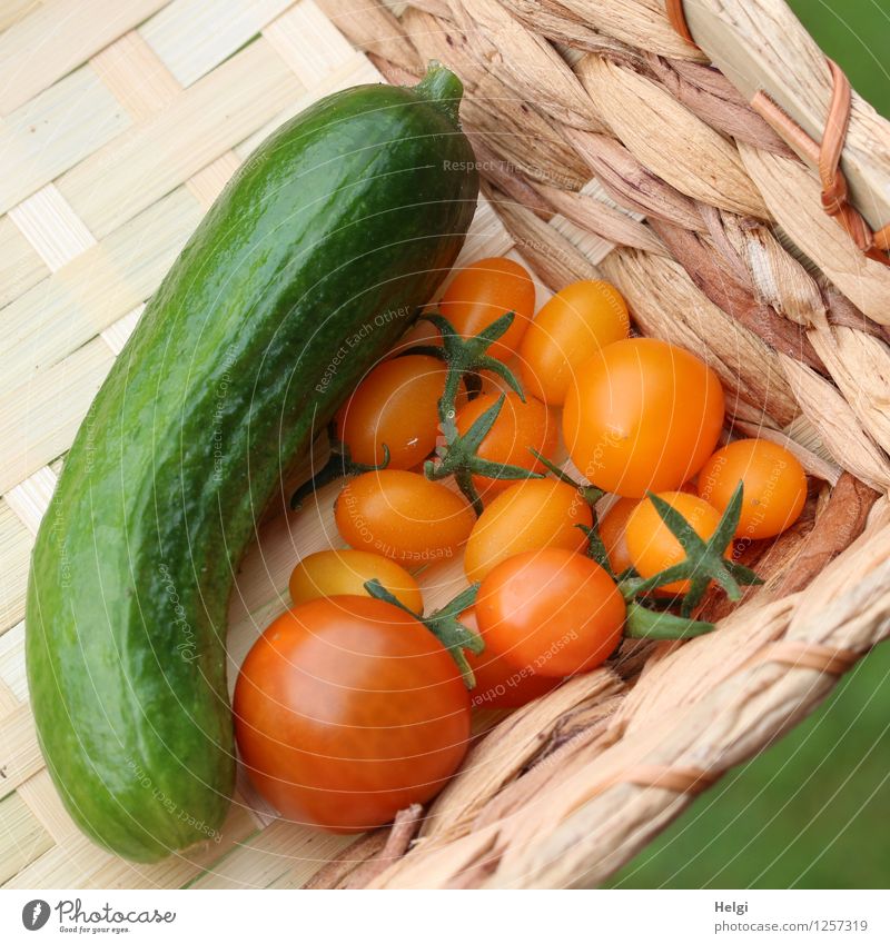 vielfältig | eigene Ernte... Lebensmittel Gemüse Frucht Tomate Gurke Ernährung Bioprodukte Vegetarische Ernährung Korb Sommer liegen authentisch frisch