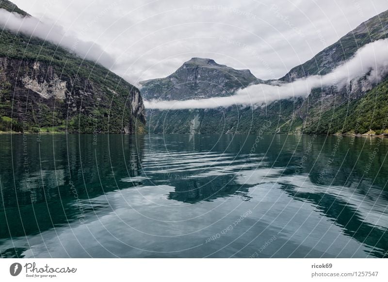 Blick auf den Geirangerfjord Erholung Ferien & Urlaub & Reisen Berge u. Gebirge Natur Landschaft Wasser Wolken Nebel Fjord Idylle Tourismus Norwegen