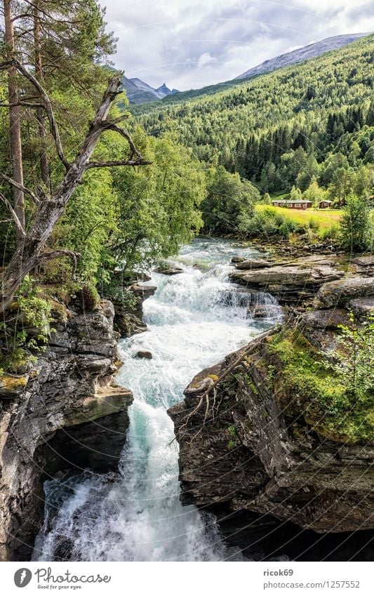 Wasserfall Erholung Ferien & Urlaub & Reisen Berge u. Gebirge Natur Landschaft Wolken Baum Felsen Bach Fluss Idylle Tourismus Norwegen Møre og Romsdal Reiseziel