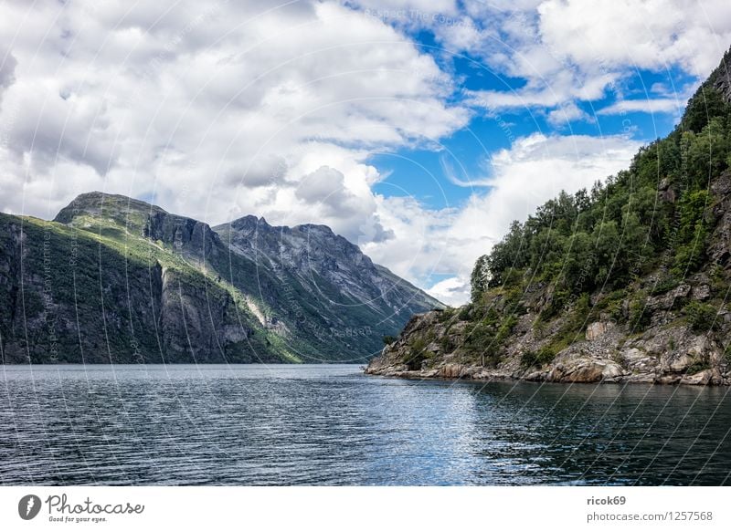 Blick auf den Geirangerfjord Erholung Ferien & Urlaub & Reisen Berge u. Gebirge Natur Landschaft Wasser Wolken Fjord Idylle Tourismus Norwegen Møre og Romsdal