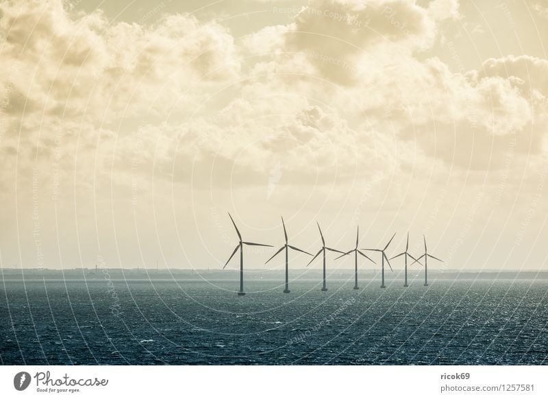 Windräder Sonne Windkraftanlage Natur Landschaft Wolken Küste Ostsee Meer Energie Umwelt Himmel Farbfoto Gedeckte Farben Außenaufnahme Menschenleer Tag