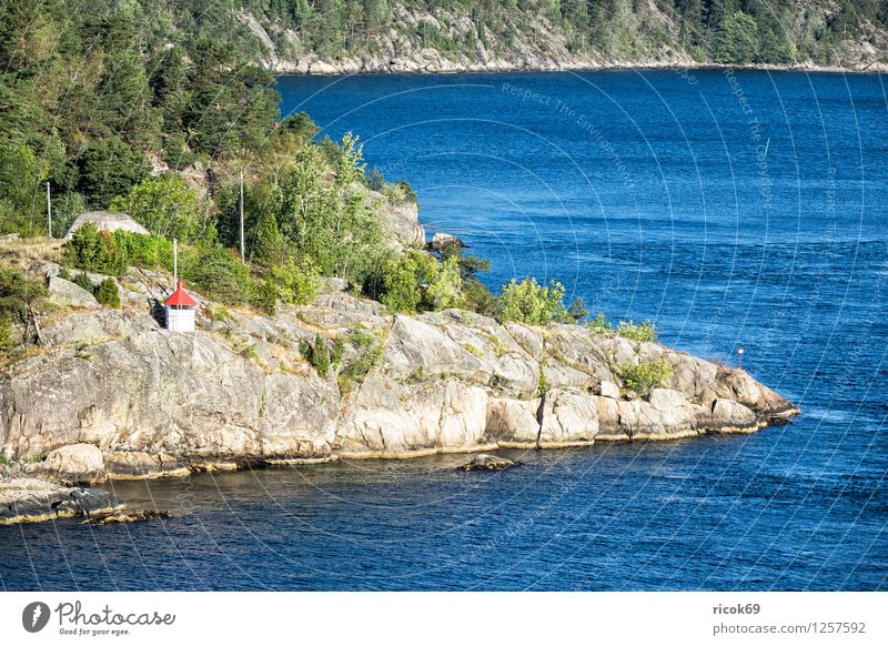Am Oslofjord Erholung Ferien & Urlaub & Reisen Insel Wasser Baum Wald Felsen Küste Bucht Fjord Leuchtturm Architektur Sehenswürdigkeit Idylle Natur Tourismus
