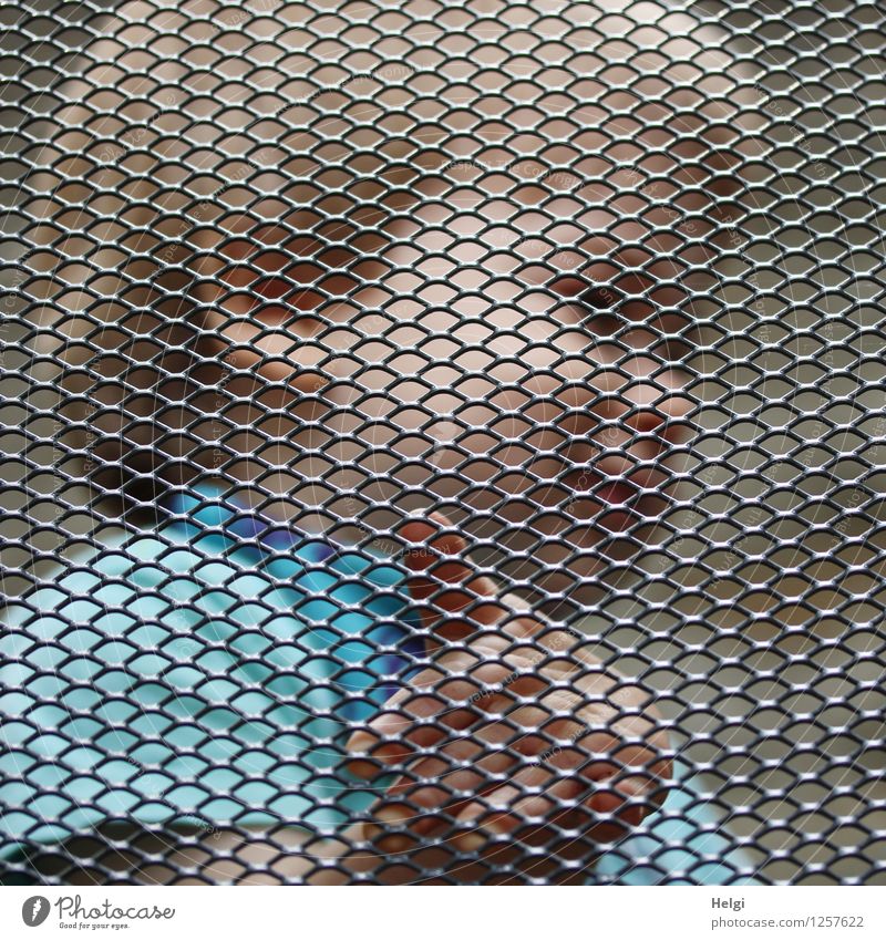 Porträt eines kleinen Jungen hinter einem Absperrgitter Mensch maskulin Kleinkind Kindheit Kopf Haare & Frisuren Gesicht Hand 1 1-3 Jahre Zaun Metall berühren