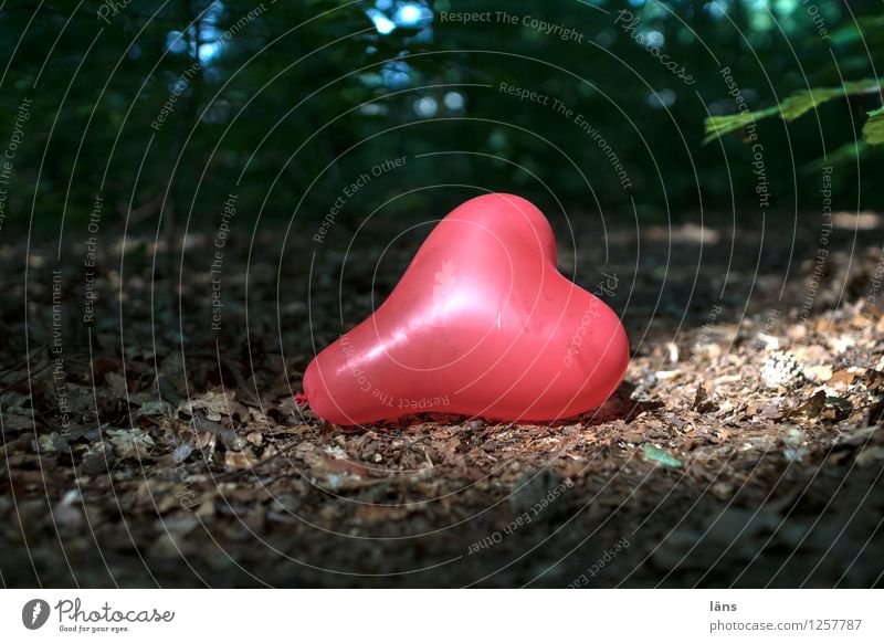 pZ3 l gefühlslage Waldboden Herz Luftballon erleuchtet Sonne Liebe Kummer Romantik Menschenleer Außenaufnahme Gefühle Verliebtheit Zeichen Liebeserklärung