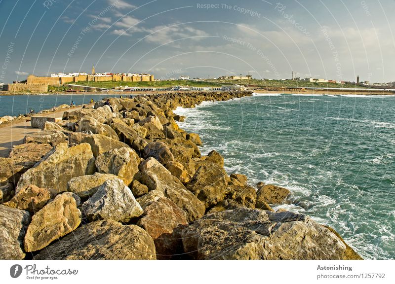 die Kurve nach Rabat Umwelt Natur Landschaft Himmel Wolken Sommer Wetter Schönes Wetter Pflanze Felsen Wellen Küste Meer Atlantik Marokko Stadt Hauptstadt