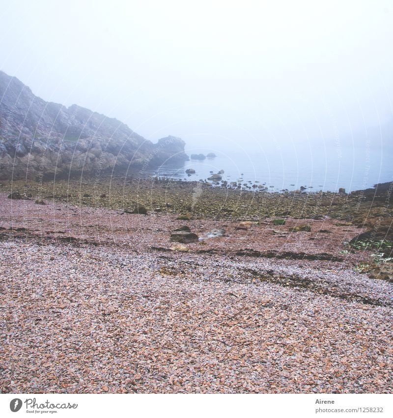 sich Zeit nehmen Landschaft Nebel Strand Bucht Meer Ärmelkanal England kalt positiv trist weich blau rot Gelassenheit Trauer Sehnsucht Einsamkeit Stimmung ruhig