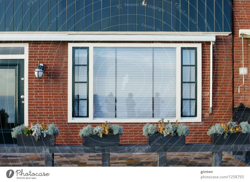 Reihenhaus schön Häusliches Leben Haus Dekoration & Verzierung Moos Farn Grünpflanze Einfamilienhaus Mauer Wand Fassade Fenster Tür Nostalgie Wohnhaus