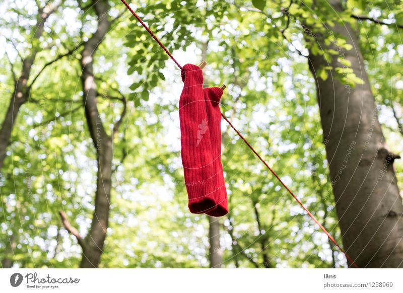 pZ3 l Wäsche trocknen auf der Leine Umwelt Natur Wald Strümpfe einzigartig Zusammenhalt Wäscheleine Außenaufnahme Wäscheklammern Menschenleer