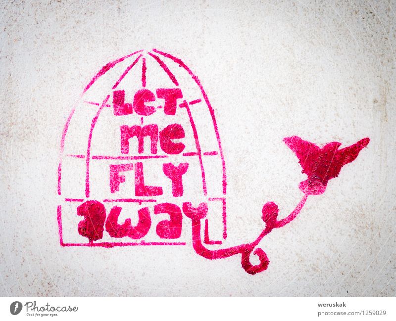 Rosa Schablonengraffiti mit dem Vogel, der einen Käfig verlässt Freiheit Kunst Kunstwerk Gemälde Kultur Subkultur Straße Beton Graffiti träumen dreckig