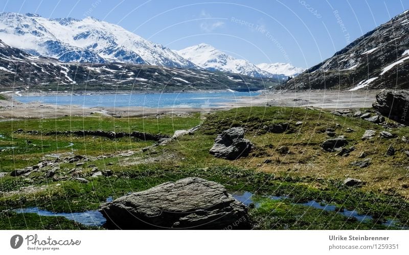 Lago di Montespluga Ferien & Urlaub & Reisen Tourismus Schnee Berge u. Gebirge wandern Umwelt Natur Landschaft Pflanze Wasser Frühling Schönes Wetter Gras Alpen