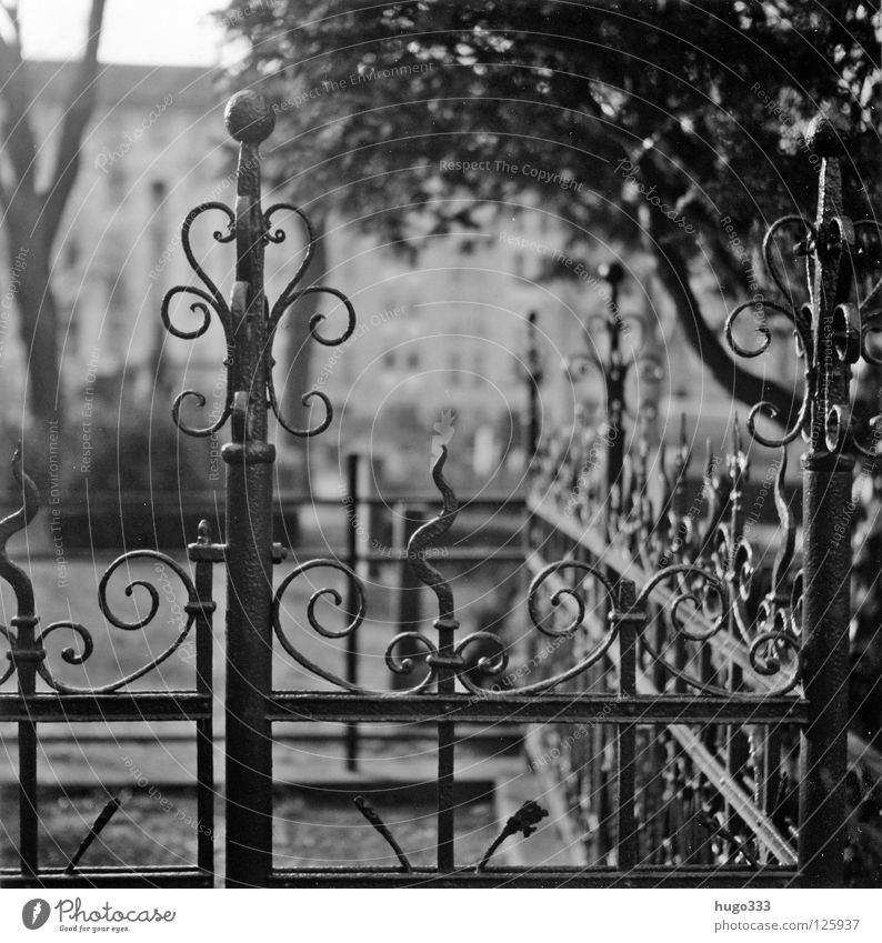 Melancholy graveyard Friedhof Zaun Gußeisen geschmackvoll Ornament Grab Grabmal geschwungen rund Mittelformat Trauer Unschärfe ruhig Gebet kalt Eisen Stahl