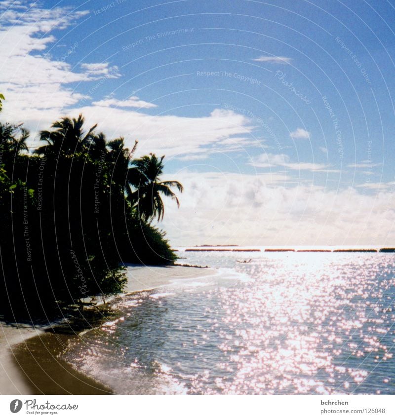 nix wie weg... Malediven Trauminsel Sommer Sonne Palme Strand Meer Indischer Ozean Ferien & Urlaub & Reisen Romantik träumen Fernweh glänzend Küste Asien Insel