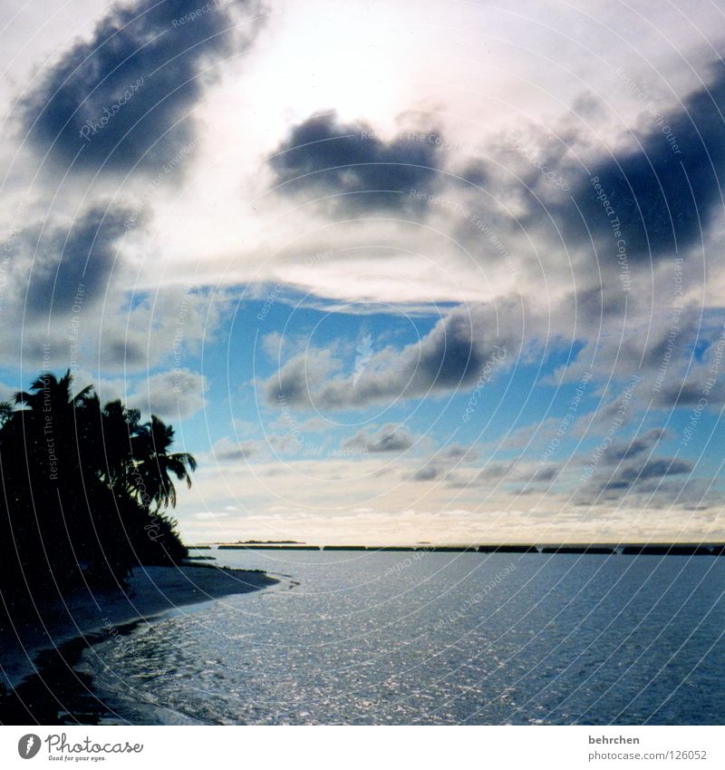 fetzenwolken Malediven Wolken Strand Sommer Meer Palme Ferien & Urlaub & Reisen genießen Fernweh Indischer Ozean Trauminsel Himmel Asien Wasser Insel Paradies