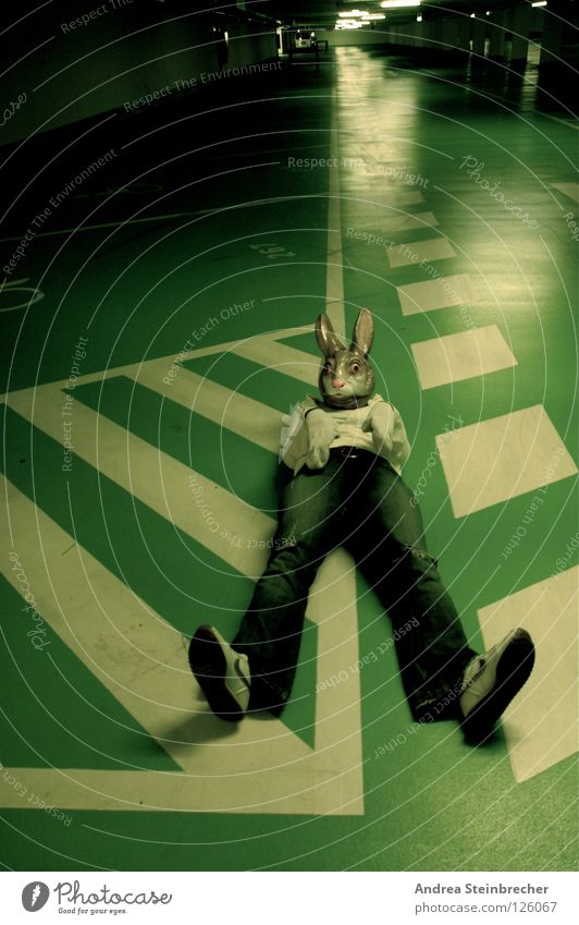 Hase auf der Fahrbahn Parkhaus grün Hase & Kaninchen Streifen ruhig Verkehrswege obskur Hase&Igel Kontrast