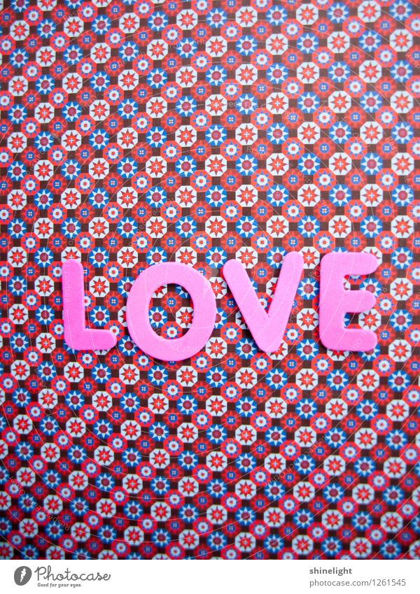 love Leben Liebe rosa Gefühle Stimmung Verliebtheit Liebeserklärung Liebesbrief Liebesgruß Liebling Liebesbeziehung Partnerschaft Liebesbekundung Liebesleben