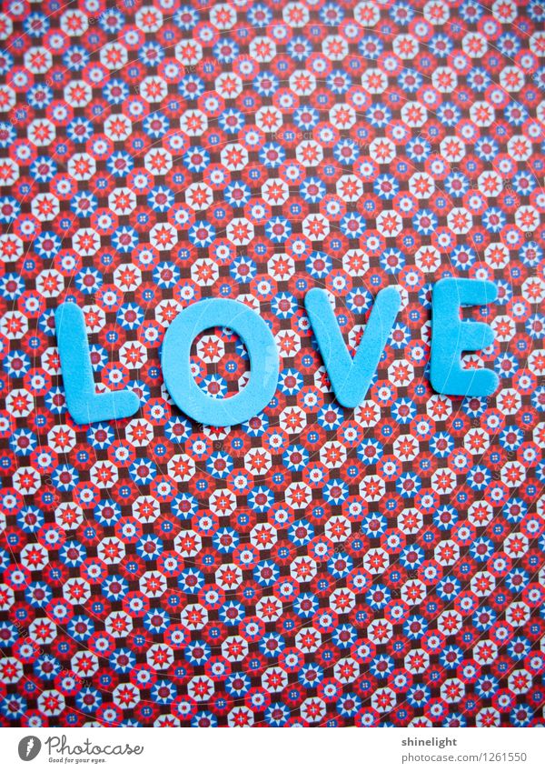 love Leben Liebe blau Gefühle Stimmung Verliebtheit Liebeserklärung Liebesbrief Liebesbeziehung Paar Liebesgruß Liebling Liebesbekundung Liebesleben Liebespaar