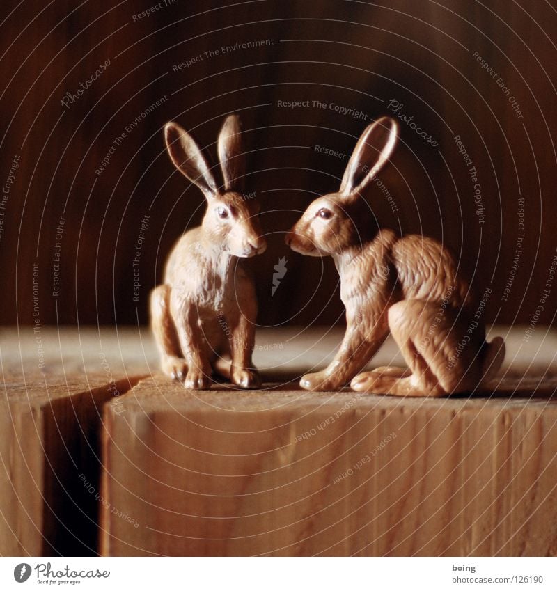 Tust Du es zum ersten mal, schau bitte kurz in unsere Hilfe Hase & Kaninchen Ostern Osterei hüpfen Känguruh Frühling Feld Tier Gruß Löffel Flüstern Hasenfigur