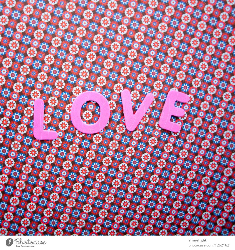 love Leben Liebe rosa Gefühle Stimmung Verliebtheit Liebeserklärung Liebesbrief Liebesgruß Liebling Farbfoto Textfreiraum oben Textfreiraum unten