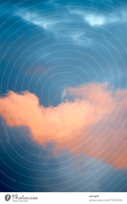 Cumulus Wolken Himmel Hintergrundbild Unwetter Luft Strukturen & Formen Konsistenz Wolkendecke Wolkenbild Wolkenhimmel Wetter convection smooth Unschärfe Umwelt