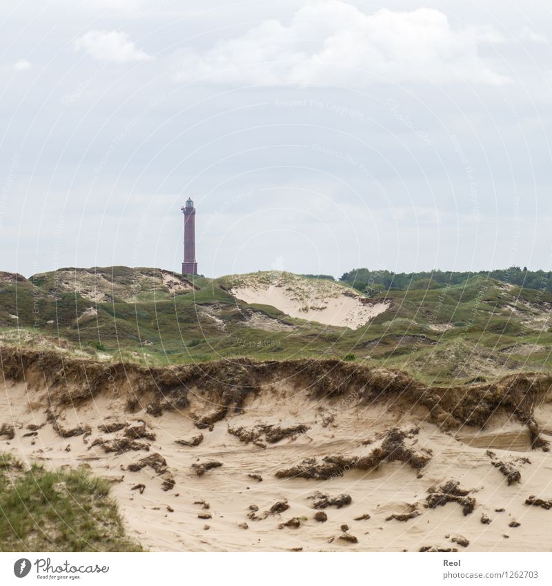 Leuchtturm Natur Landschaft Urelemente Sand Himmel Wolken Sommer schlechtes Wetter Gras Dünengras Nordsee Insel Norderney Ostfriesische Inseln grün Farbfoto