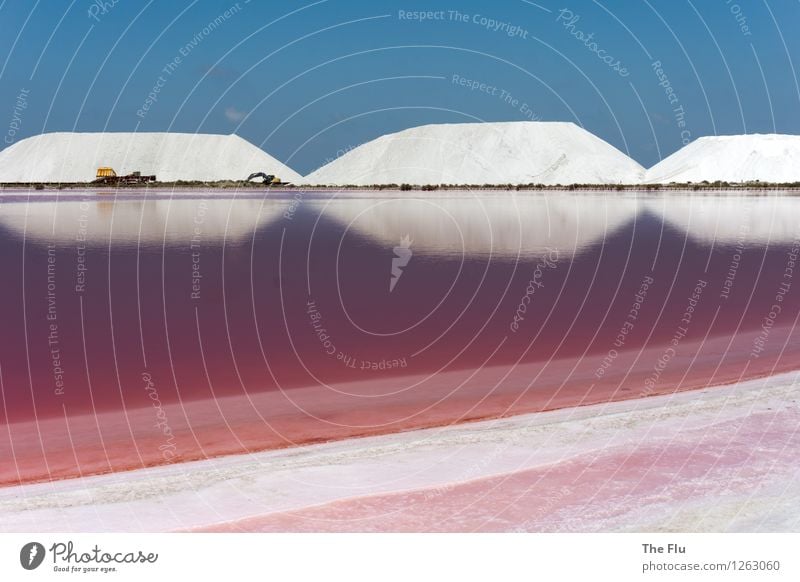 Das Salz der Erde Kochsalz Ernährung Wasser Schönes Wetter Aigues Mortes Frankreich Europa Kristalle dehydrieren fantastisch blau rosa rot weiß ästhetisch
