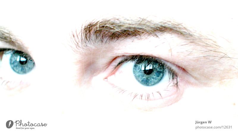 Seitenblick Pupille Fototechnik Auge Blick blau Mensch Regenbogenhaut hell eyes view blue humans pupil brightly