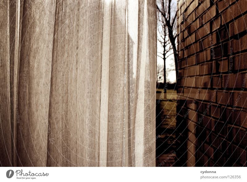 Im Verborgenen Vorhang Gardine Licht Fenster Fensterscheibe Sichtschutz Einsamkeit Mauer eng Aussicht Umgebung Wohnung zurückziehen Ferne gefangen unfähig