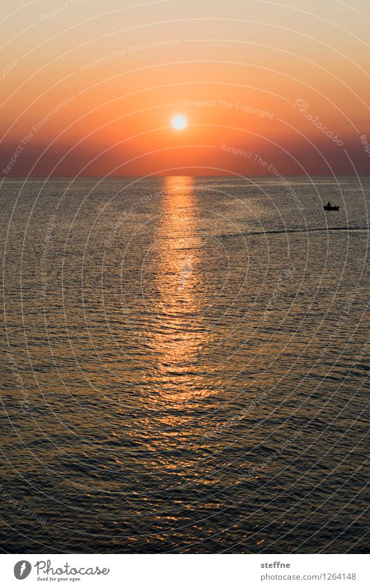 Ein neuer Tag beginnt Natur Landschaft Sonne Sonnenaufgang Sonnenuntergang Sonnenlicht Sommer Schönes Wetter Wellen Küste Meer bari Italien Apulien Hafenstadt