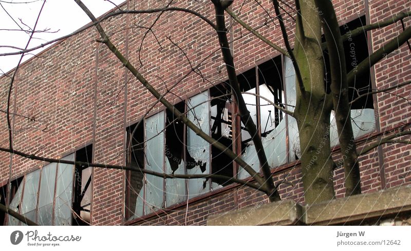 ziemlich kaputt Gebäude verfallen Mauer Fenster Industriefotografie Architektur Lagerhalle Glas builing window glass broken