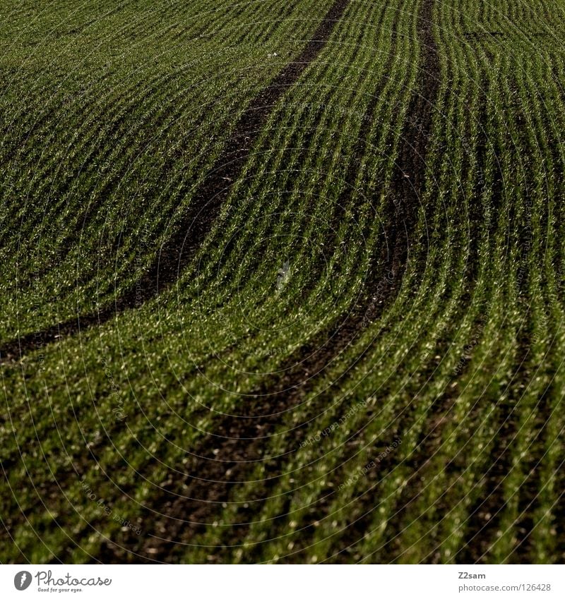 agrarkunst Landwirtschaft Feld Wiese 2 Wellen graphisch schwarz dunkel Quadrat Reifenspuren parallel Erde Sand argrar Spuren Wege & Pfade Bogen Linie reduzieren