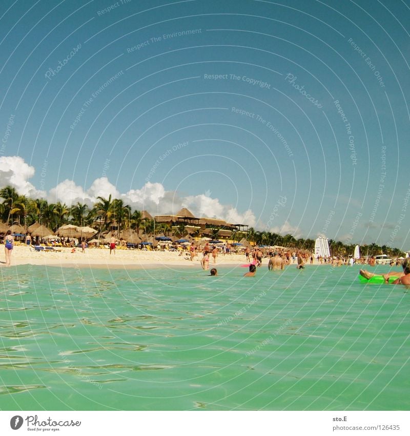 strandtreiben Ferien & Urlaub & Reisen Urlaubsfoto reisend Tourist Erholung Meer Pazifik Atlantik Schwimmen & Baden Schnorcheln Tauchgerät Riff Korallen Mensch