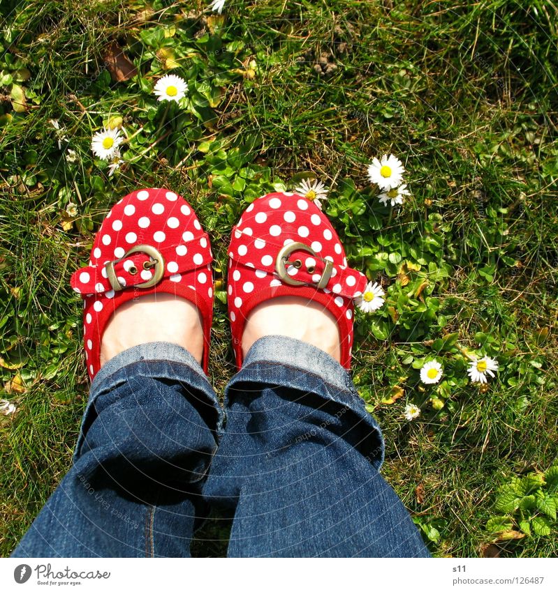 In Her Shoes Haut Frau Erwachsene Fuß Natur Pflanze Frühling Blume Gras Blüte Wiese Bekleidung Hose Jeanshose Schuhe blau grün rot weiß gehorsam Punkt gepunktet