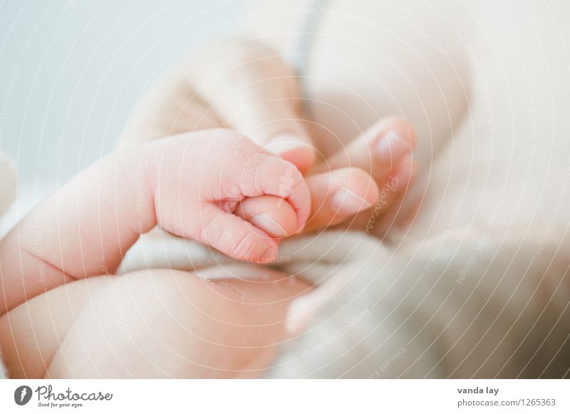 Precious I Mensch Baby Eltern Erwachsene Mutter Familie & Verwandtschaft Kindheit Leben Hand Finger 2 0-12 Monate Vertrauen Sicherheit Schutz Geborgenheit