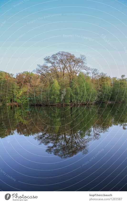 zwei Seiten einer Medaille Natur Wasser Horizont Schönes Wetter Baum See Fischteich Seeufer Kreis Paderborn Glaube Trauer ästhetisch Zufriedenheit entdecken