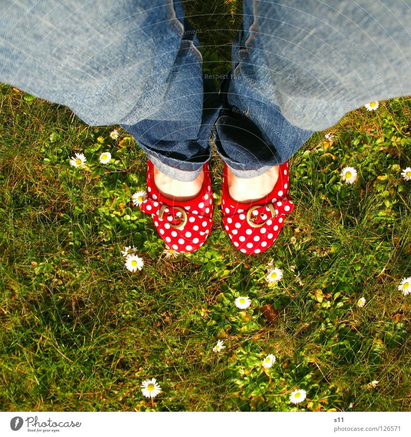 In Her Shoes II Haut Sommer Frau Erwachsene Fuß Natur Pflanze Frühling Blume Gras Blüte Wiese Bekleidung Hose Jeanshose Schuhe blau grün rot weiß gehorsam Punkt