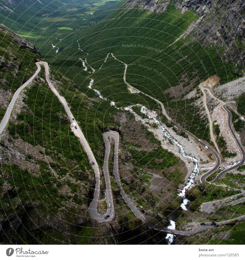 immer munter hoch und runter Serpentinen grün steil Autobahnauffahrt aufwärts Trollstigen Norwegen KFZ Asphalt abwärts aufsteigen Wald Baum Spuren Verkehrswege