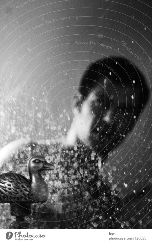 Self mit Spiegel und Wasserente Spiegelei Wasserhahn Porträt Ente dreckig