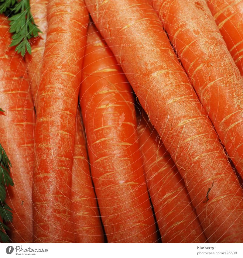 möhrchencase Möhre Vitamin Ernährung Gesundheit Rohkost kochen & garen Gemüse Vegetarische Ernährung möre betta carotin orange Lebensmittel