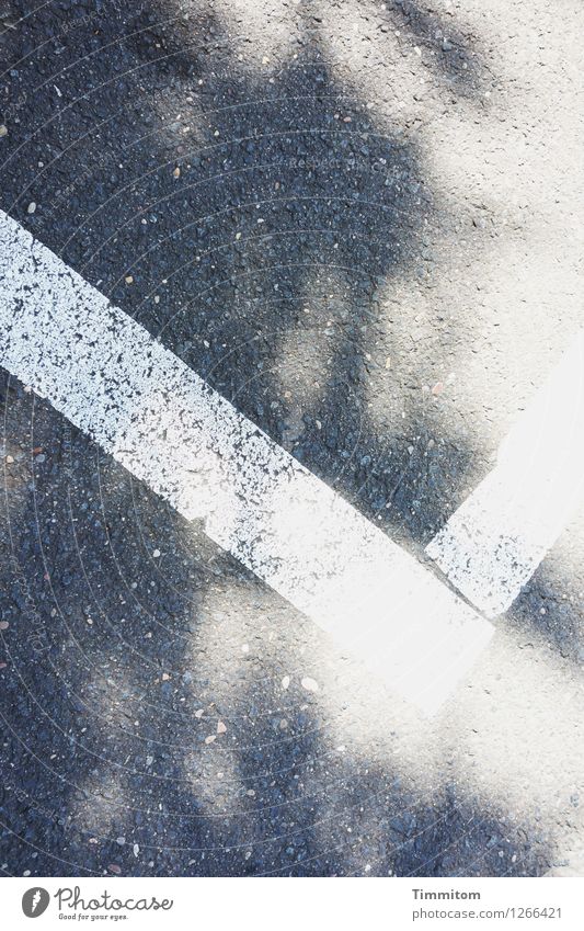Straßenbild...Move On Down The Road Schilder & Markierungen Linie ästhetisch einfach grau weiß Klarheit Licht Schatten Asphalt Gedeckte Farben Farbfoto