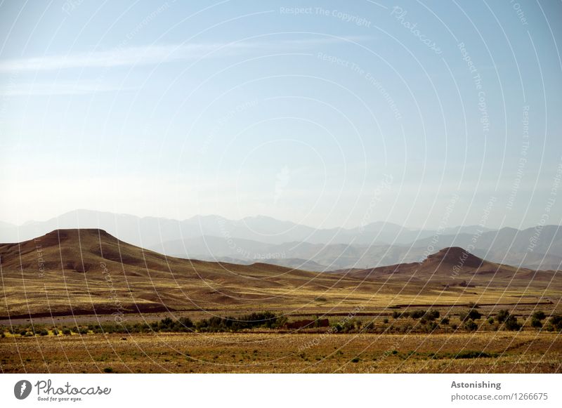kahles Hügelland Umwelt Natur Landschaft Sand Himmel Horizont Sommer Wetter Schönes Wetter Pflanze Sträucher Berge u. Gebirge Atlas Gipfel Wüste Marokko hoch